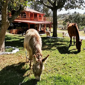 Farm stay La Granja De Papa Alberto, Puembo